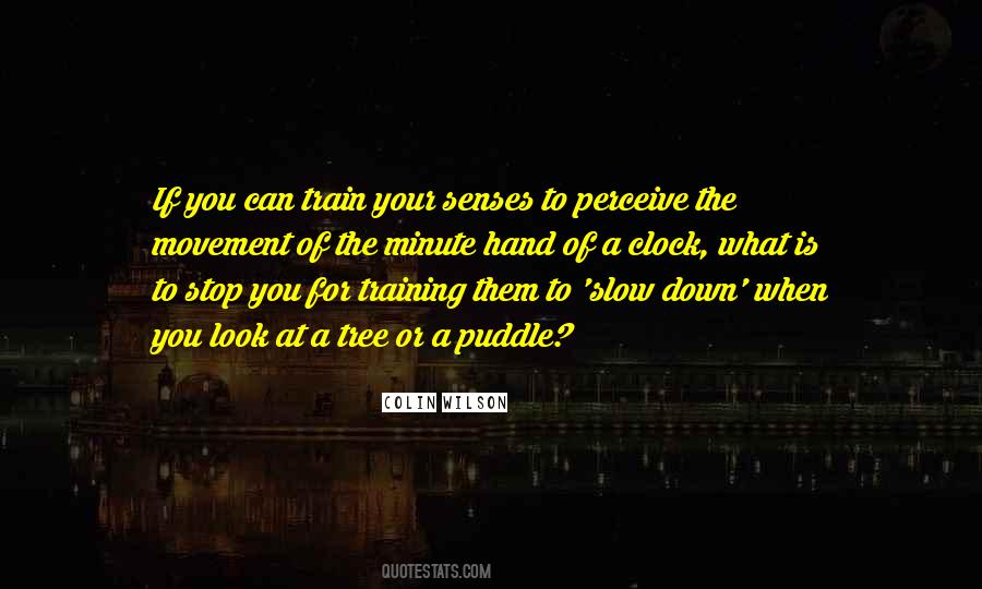 Puddle Quotes #992874