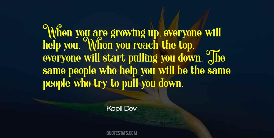 Pull You Down Quotes #1808933