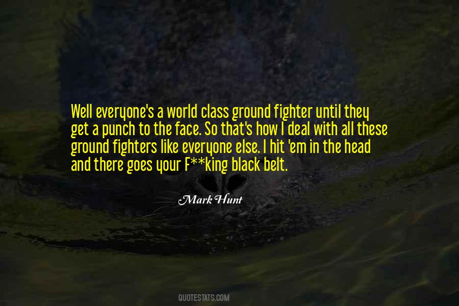 Punch In The Face Quotes #298325
