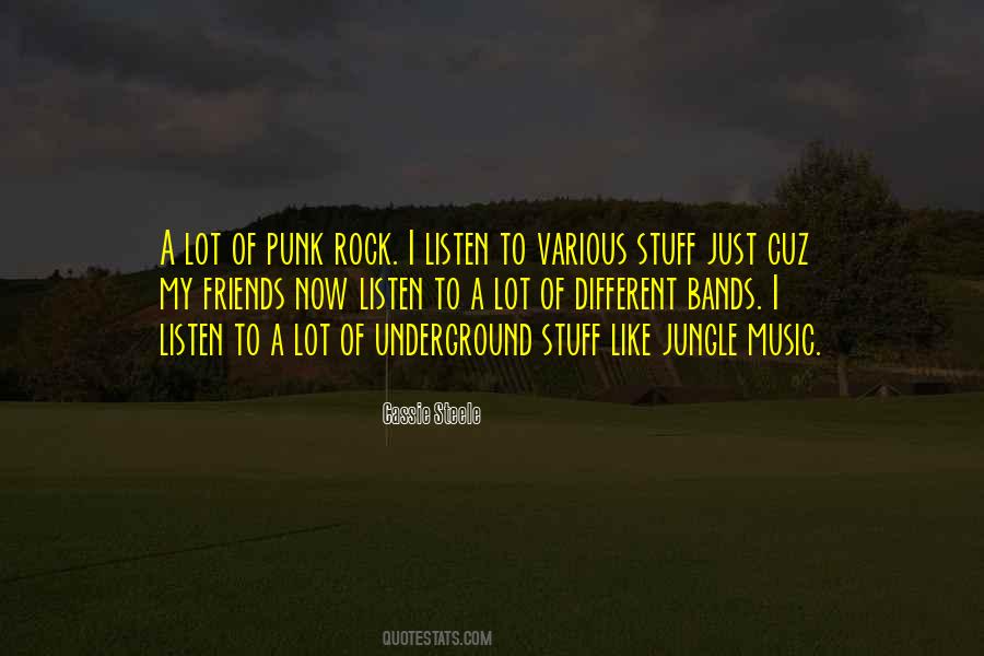 Punk Rock Band Quotes #1163068