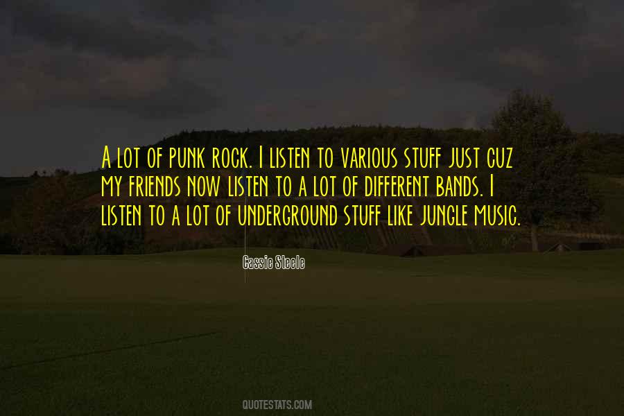 Punk Rock Band Quotes #1163068