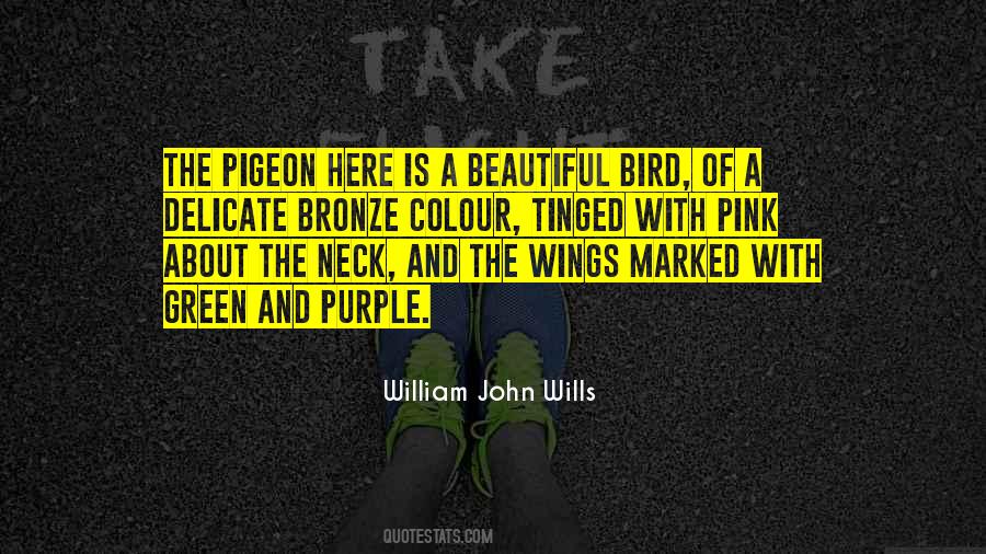Purple And Pink Quotes #209805