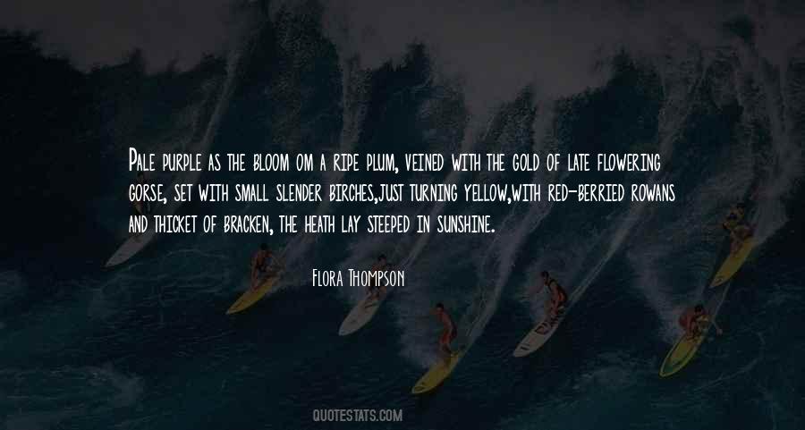 Purple And Yellow Quotes #484988