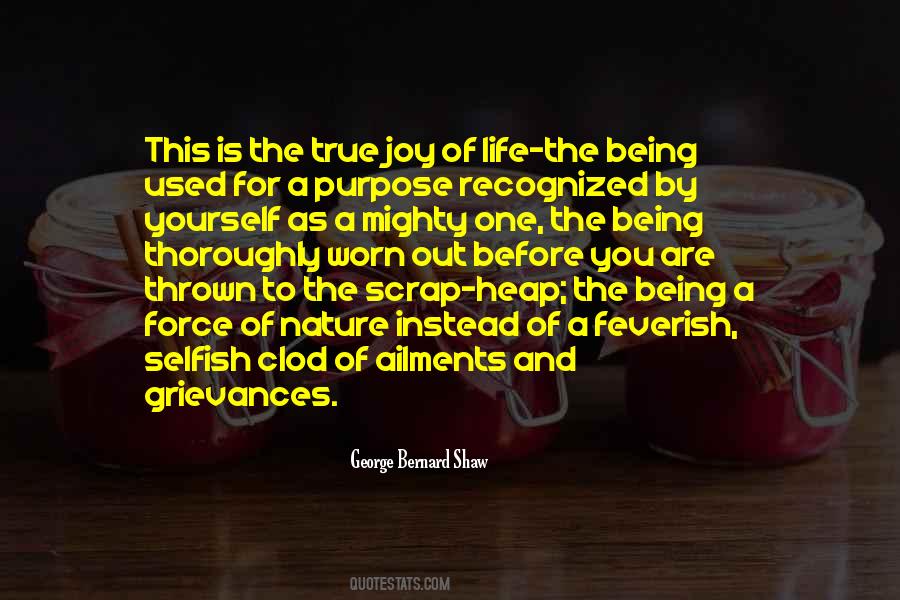 Purpose And Happiness Quotes #389268