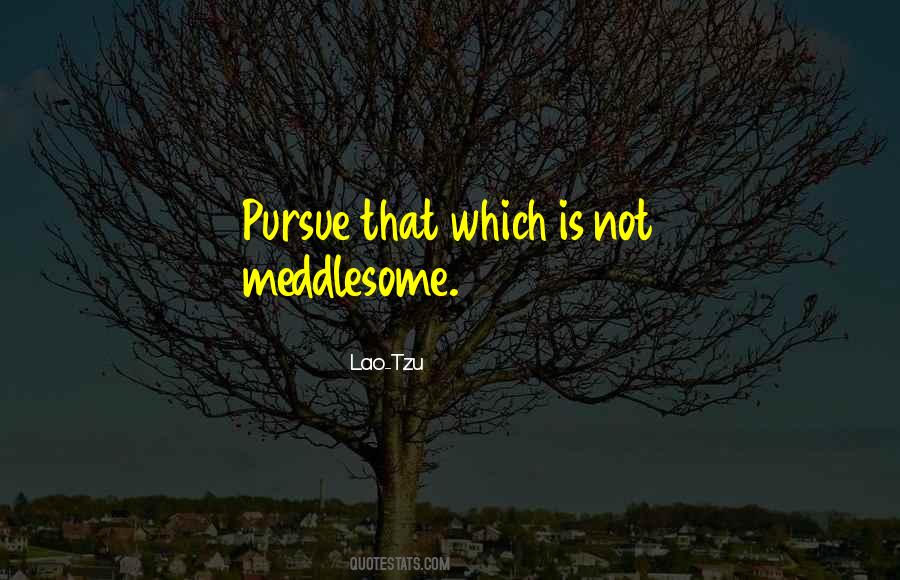 Pursue Someone Quotes #51897