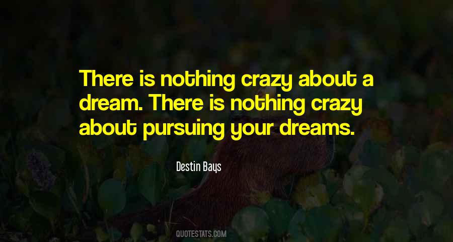 Pursuing A Dream Quotes #1288680