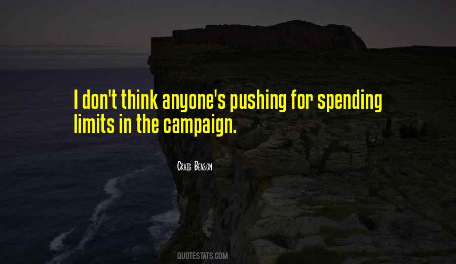 Pushing The Limits Quotes #135282