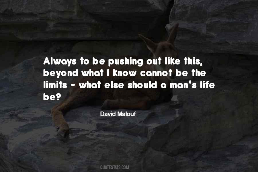 Pushing The Limits Quotes #302733
