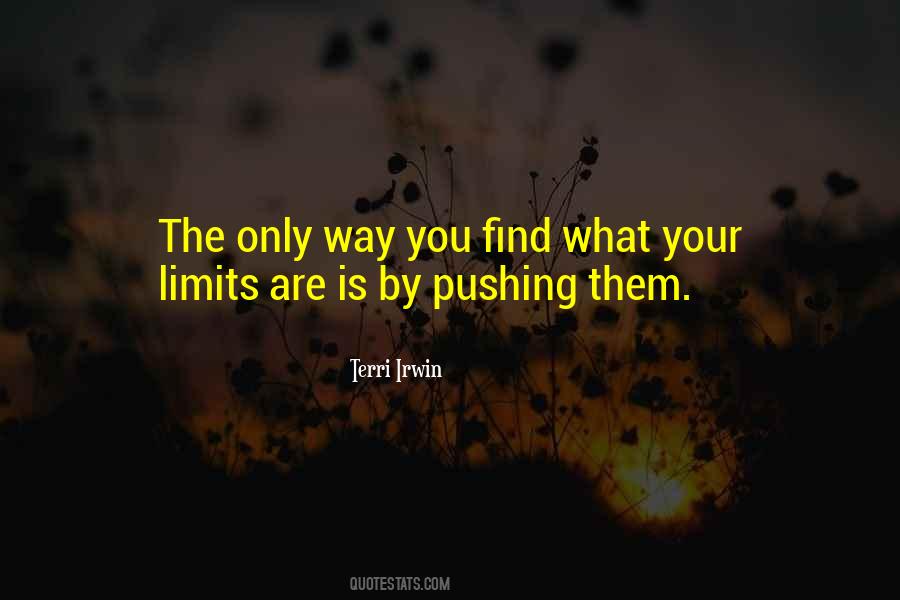 Pushing The Limits Quotes #699720