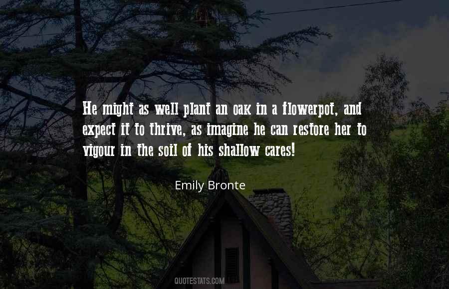Quotes About Emily Bronte #414599