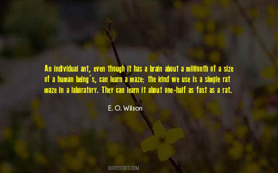 Quotes About Being An Individual #159180