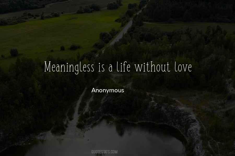 Quotes About A Life Without Love #1385178