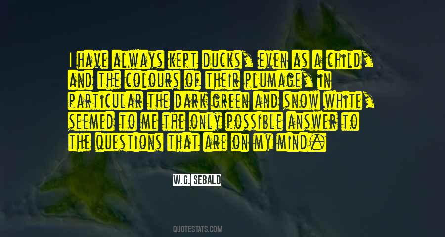 Questions That Are Quotes #151733