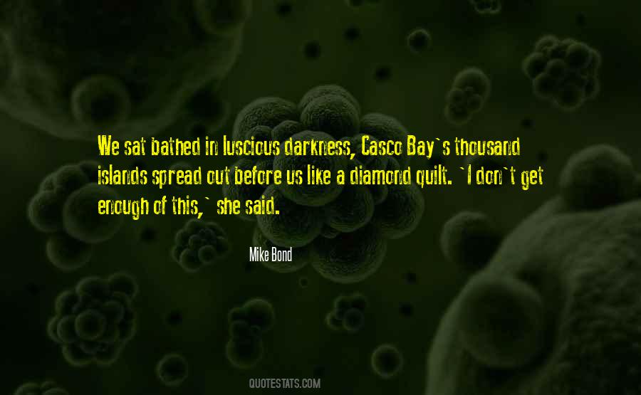 Quilt Quotes #734180