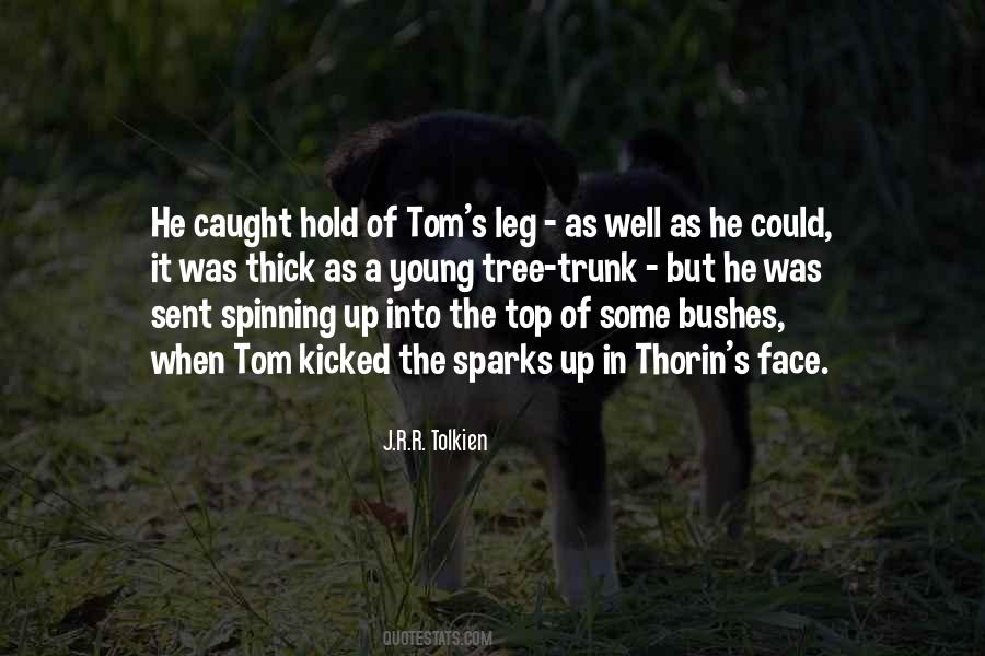 Quotes About J R R Tolkien #39923