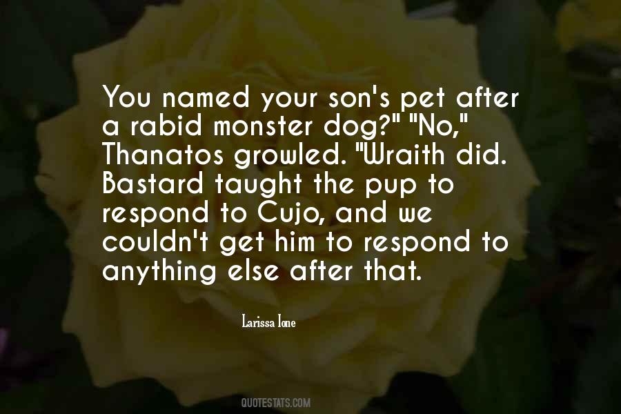 Rabid Dog Quotes #485782