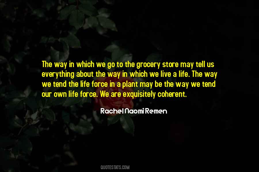 Rachel Remen Quotes #574541