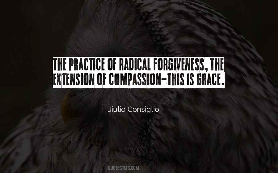 Radical Forgiveness Quotes #1193540