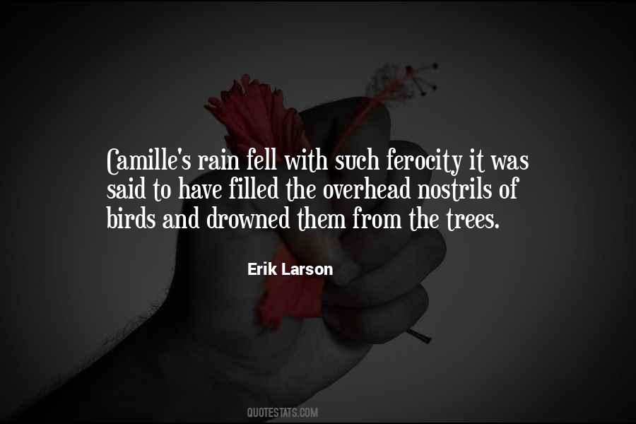 Rain And Quotes #83000