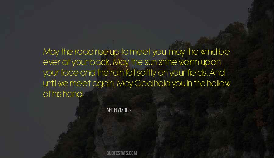 Rain In The Face Quotes #233642