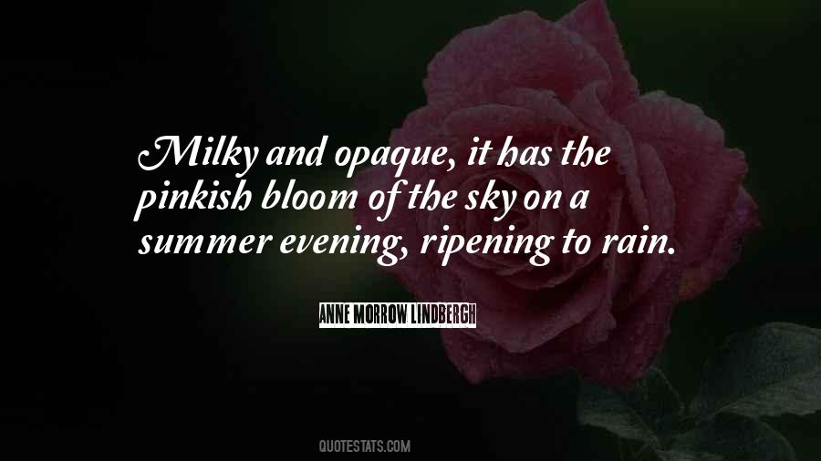 Rain In The Summer Quotes #1455847