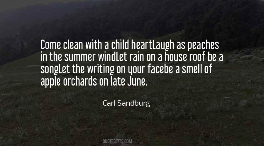 Rain In The Summer Quotes #431237