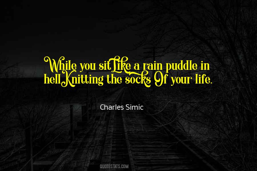 Rain Puddle Quotes #1693207