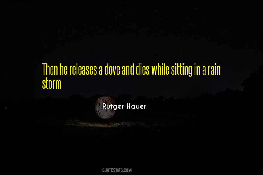 Rain Storm Quotes #1411933