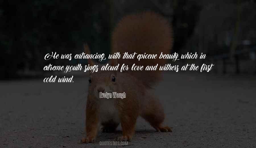 Quotes About Beauty And Youth #1688488