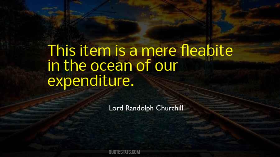 Randolph Churchill Quotes #430280