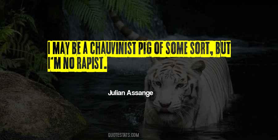 Rapist Quotes #33093