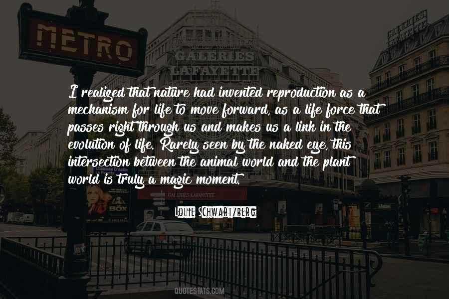 Rarely Seen Quotes #822777