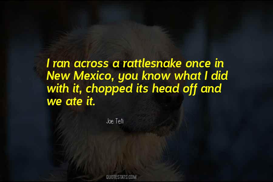 Rattlesnake Quotes #618656