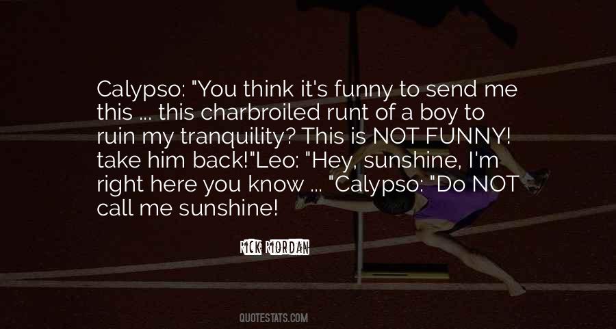 Ray Of Sunshine Funny Quotes #298553