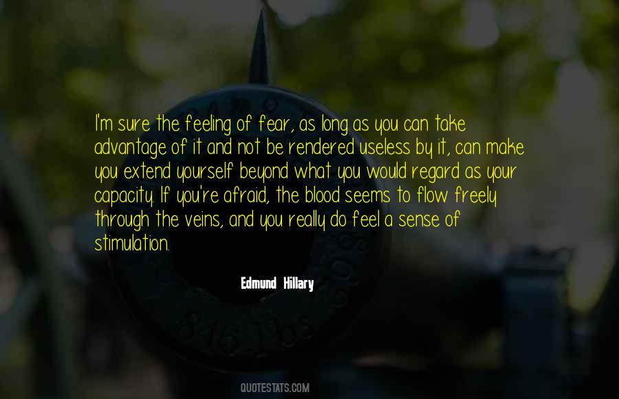 Quotes About Edmund Hillary #1419821