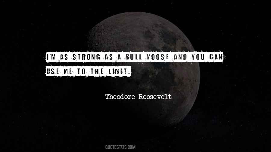 Quotes About Theodore Roosevelt #181963 Quotes About Theodore Roosevelt #181963