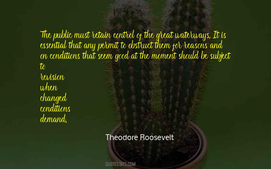 Quotes About Theodore Roosevelt #229444