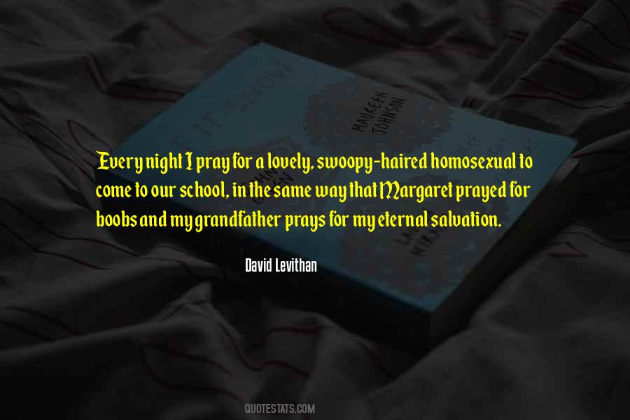 Quotes About David Levithan #13123