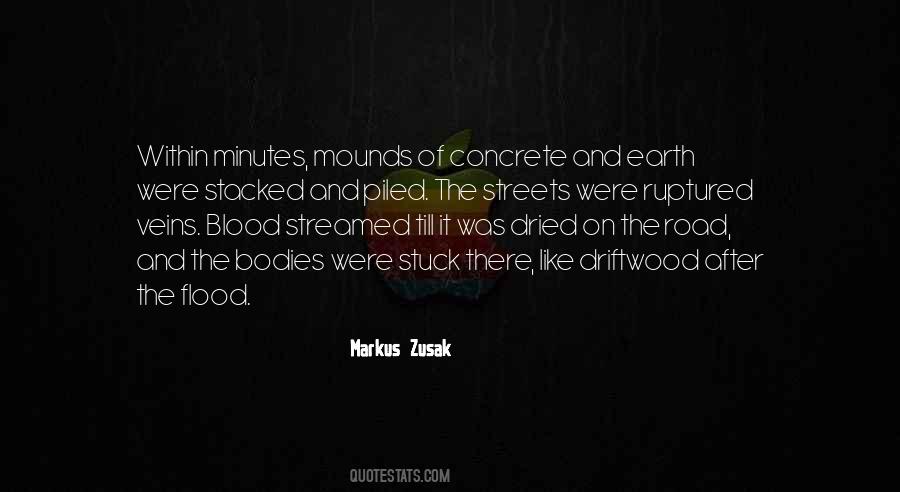 Quotes About Markus Zusak #65369