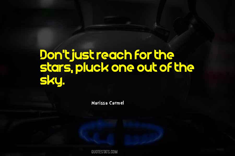 Reach The Sky Quotes #829023