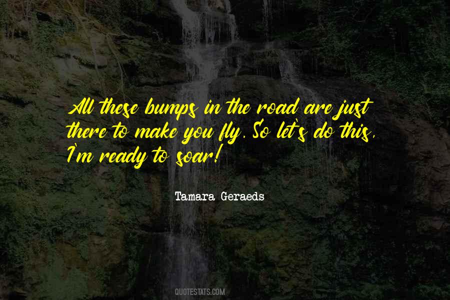 Ready To Fly Quotes #1079087