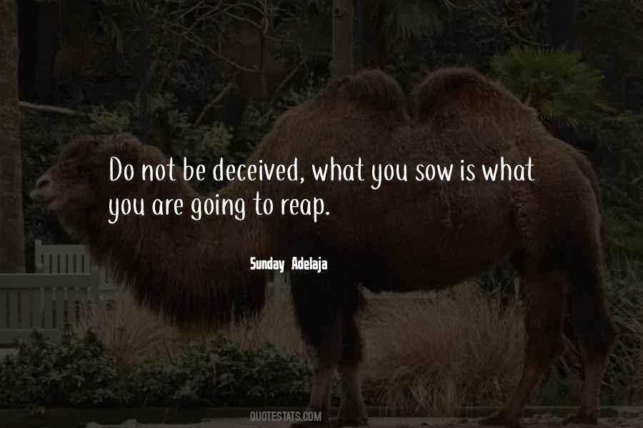 Reap What You Sow Quotes #1442641