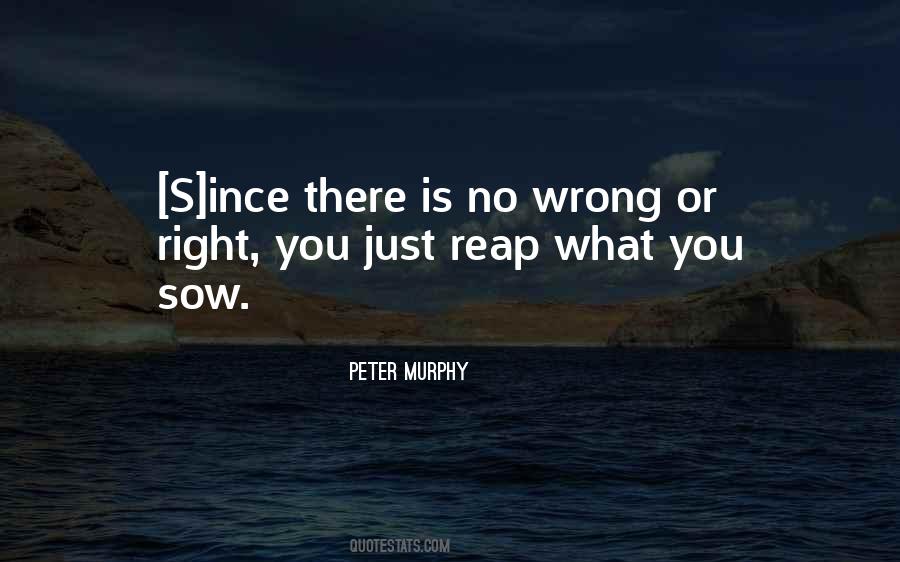 Reap What You Sow Quotes #566809