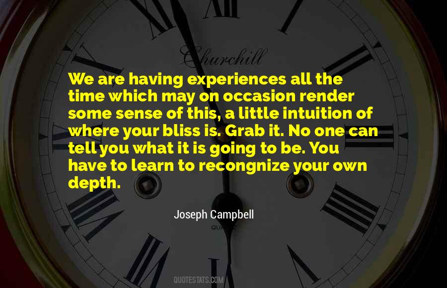 Quotes About Joseph Campbell #171361