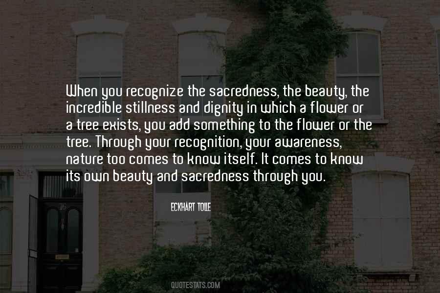 Recognize Beauty Quotes #1402992