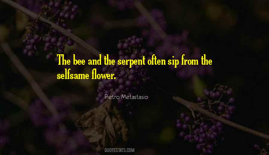 Quotes About Bee And Flower #1163099