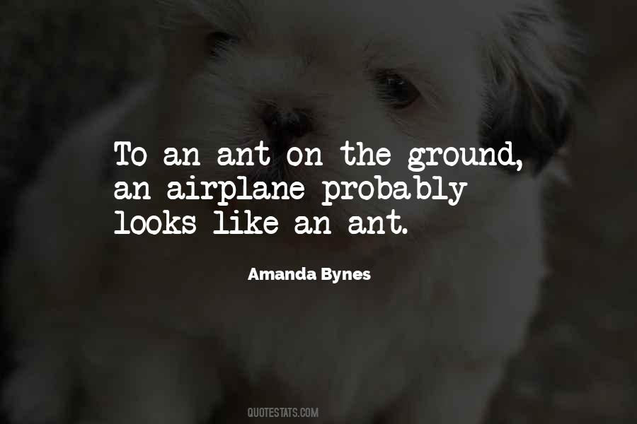 Quotes About Ant #1112475