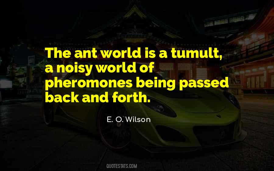 Quotes About Ant #1134518