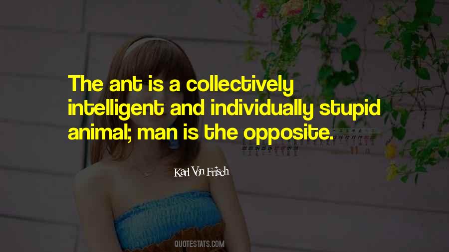 Quotes About Ant #1333154