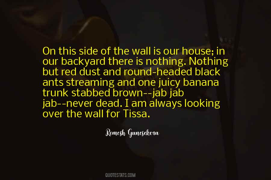 Red House Quotes #1620430